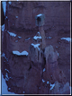 foto Capitol Reef e Bryce Canyon